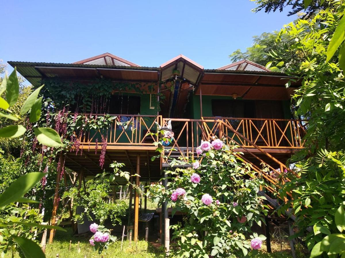Mist Valley Masinagudi Exterior photo