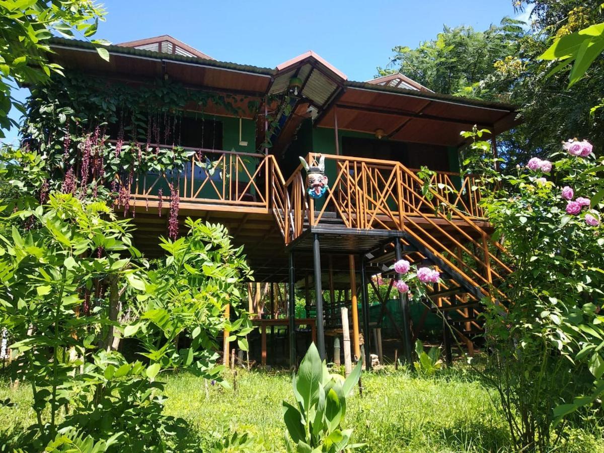 Mist Valley Masinagudi Exterior photo
