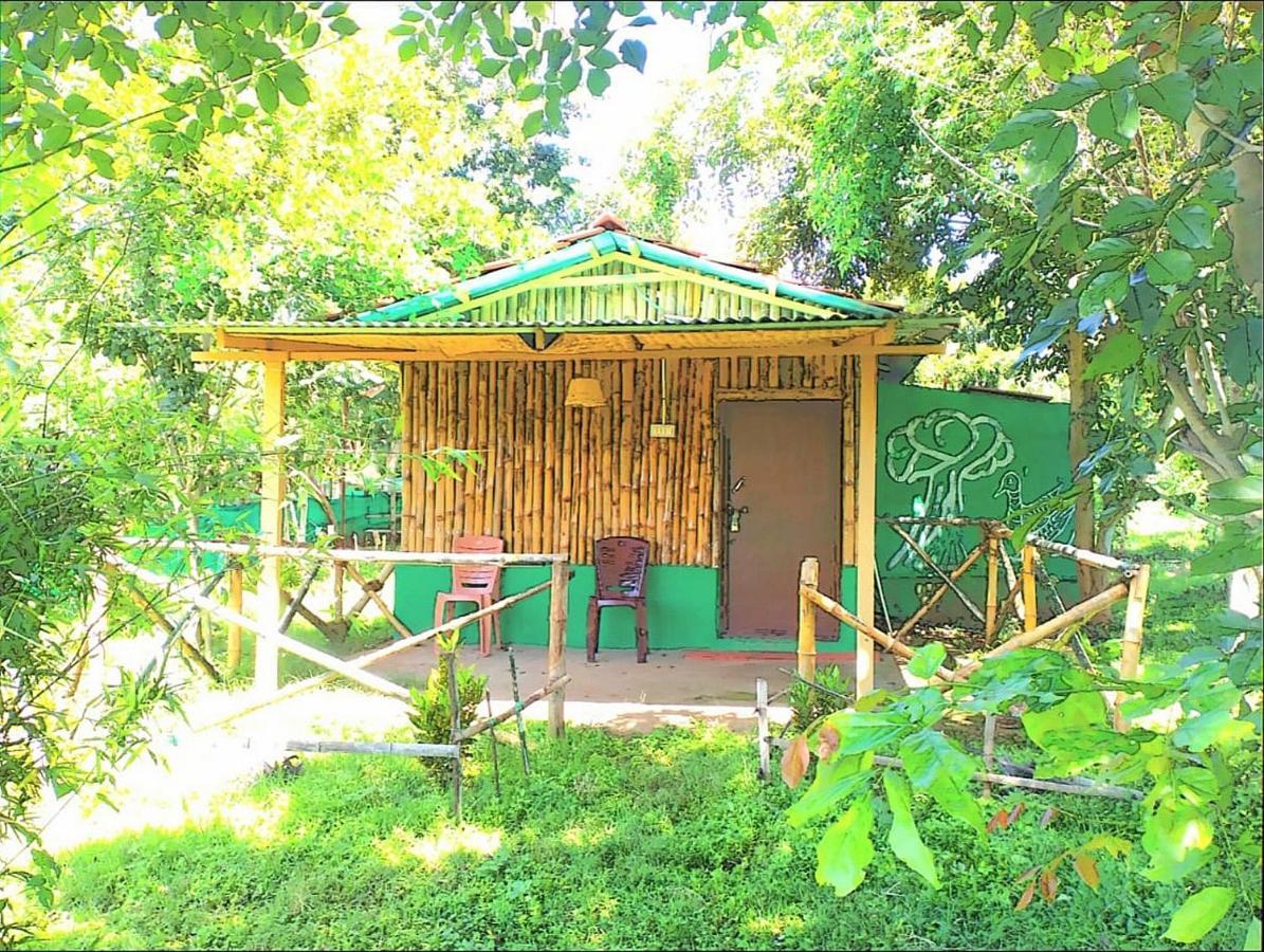 Mist Valley Masinagudi Exterior photo