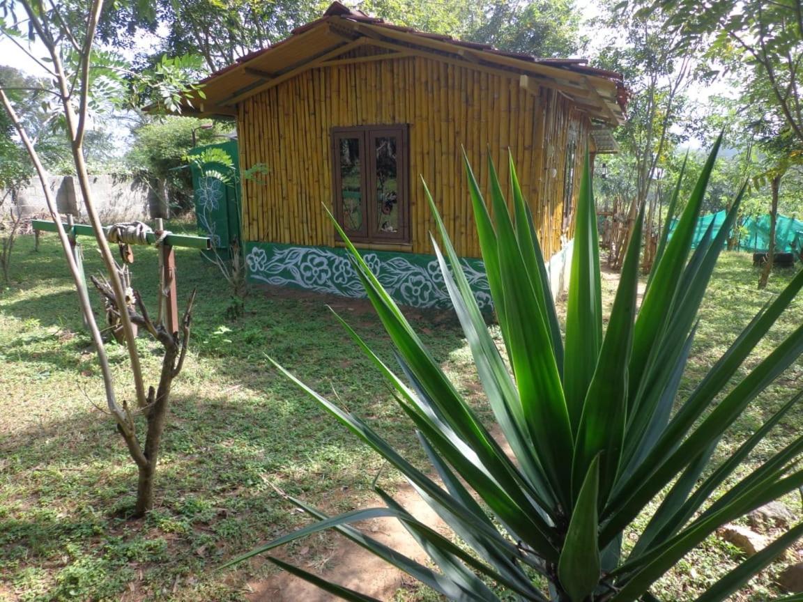 Mist Valley Masinagudi Room photo