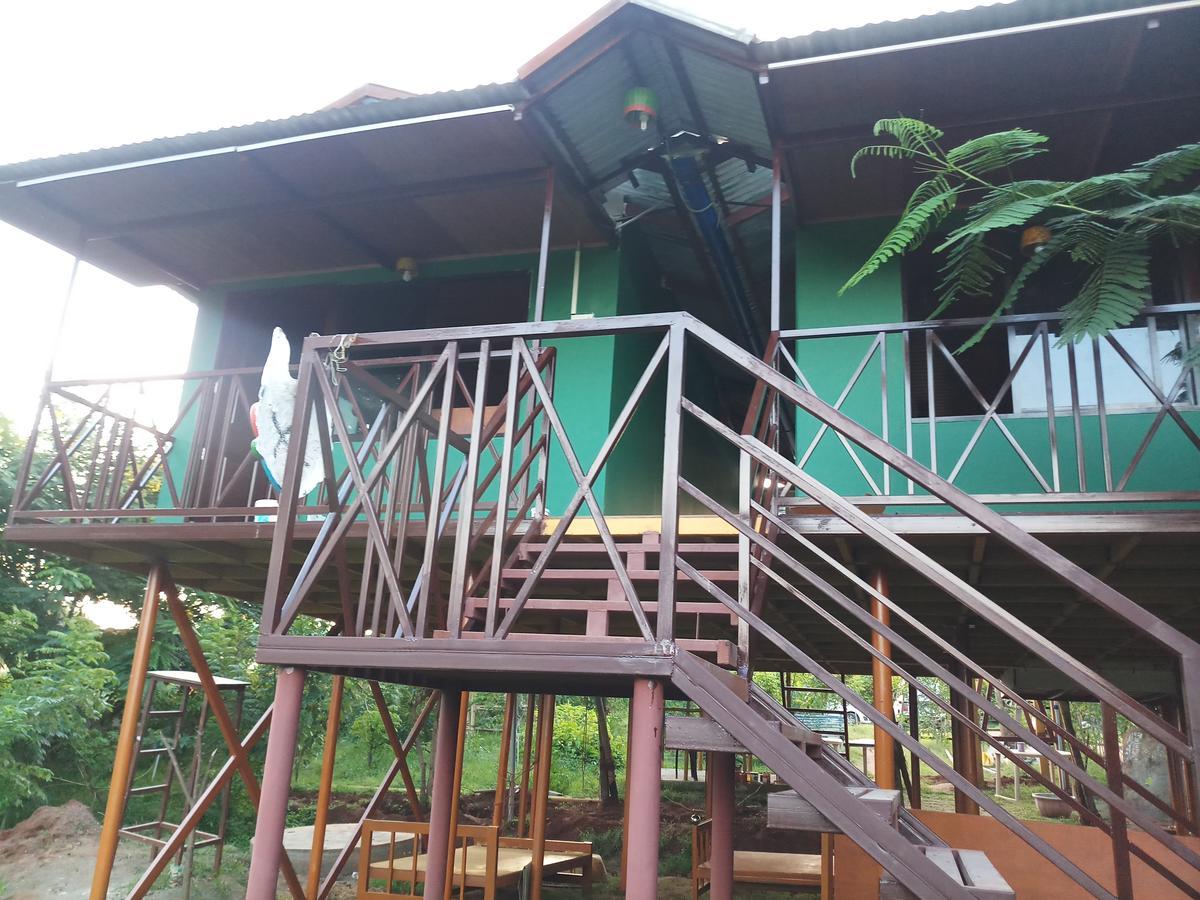 Mist Valley Masinagudi Exterior photo